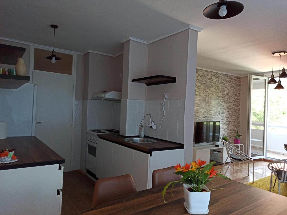Duka Apartment Nis Bagian luar foto